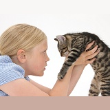 Girl face-to-face with a tabby kitten