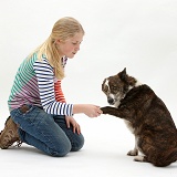 Girl shaking paws with dog