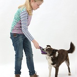 Girl playing with mongrel dog