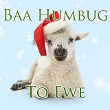 Baa humbug to ewe lamb in Santa hat