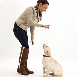 Lady instructing a dog to sit