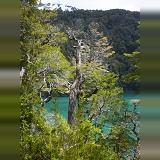 Lake in temperate forest, Los Alerces National Park, Argentina