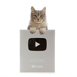 Cat with paws over YouTube silver play button