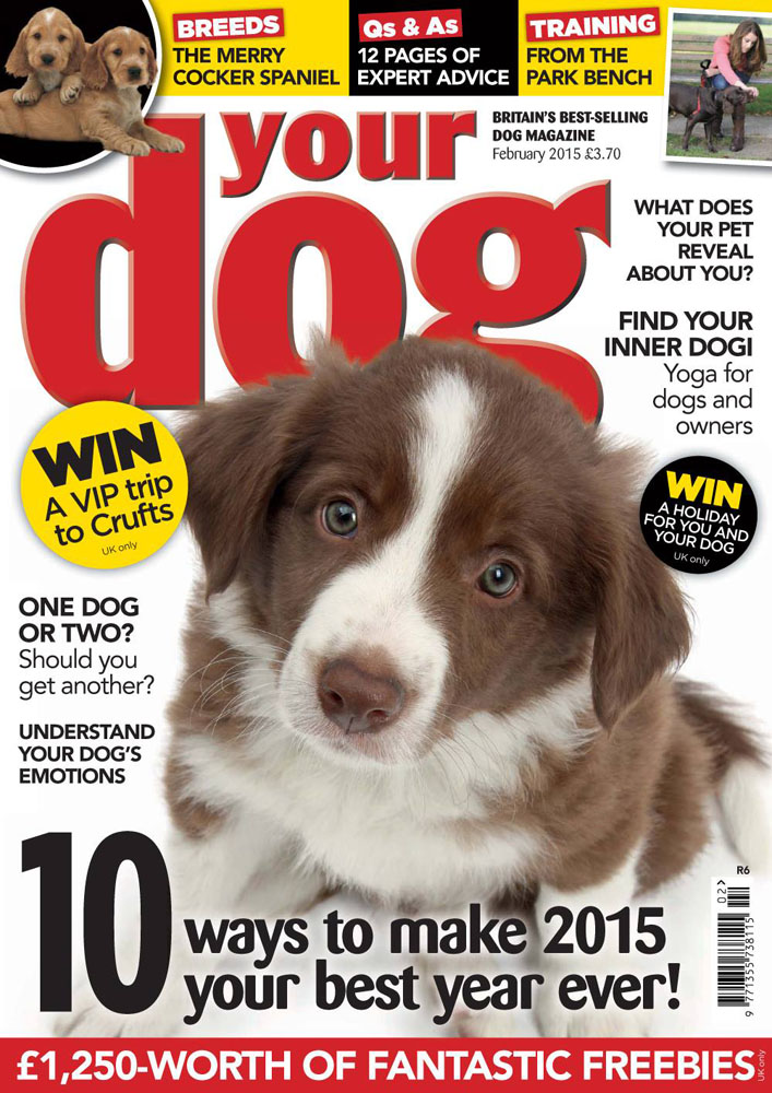 Your Dog magazine cover Feb 15