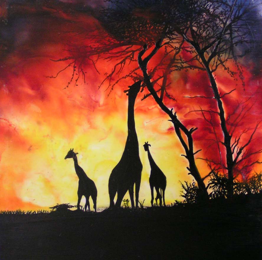 Giraffe (Giraffa camelopardalis) group at sunset.  Africa