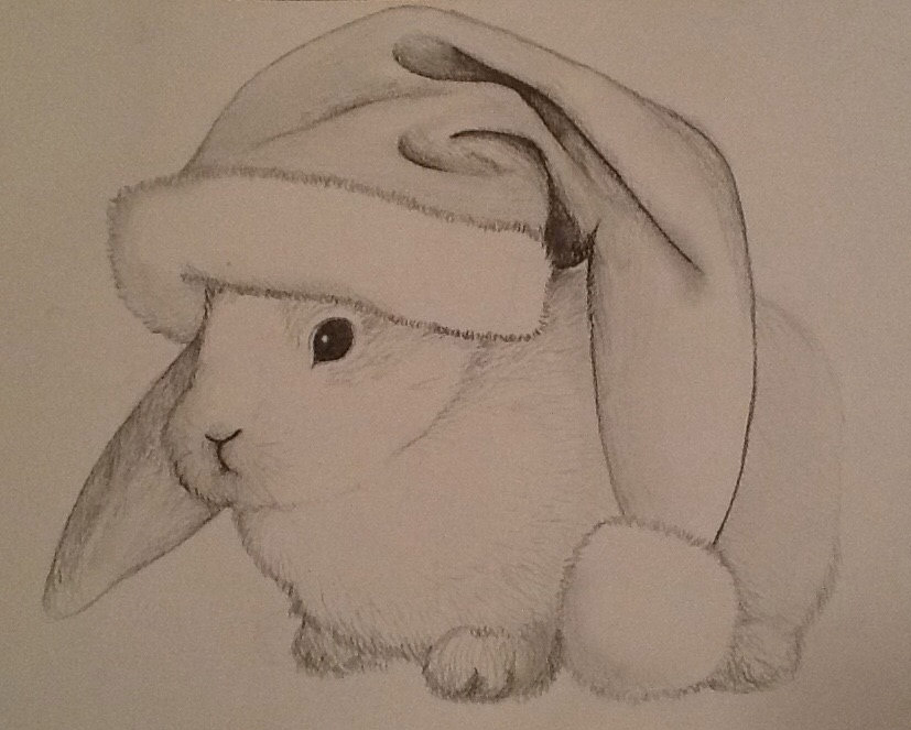 Rabbit wearing a Father Christmas hat, white background