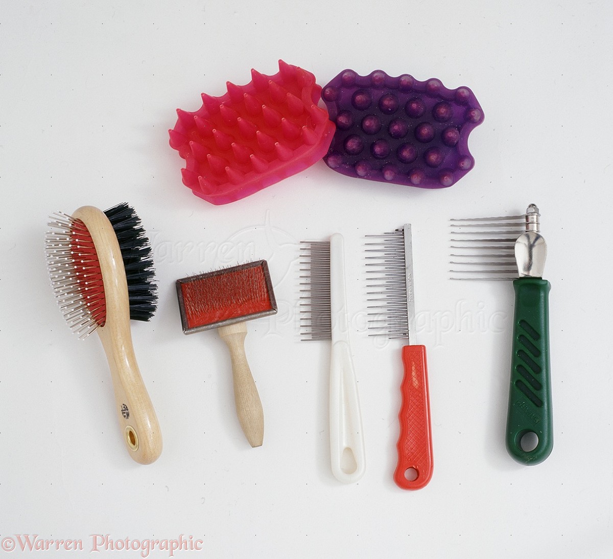 grooming tools for cats