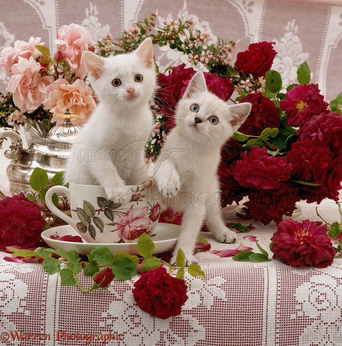 show original title Details about   Branch of kittens white artificial flowers 