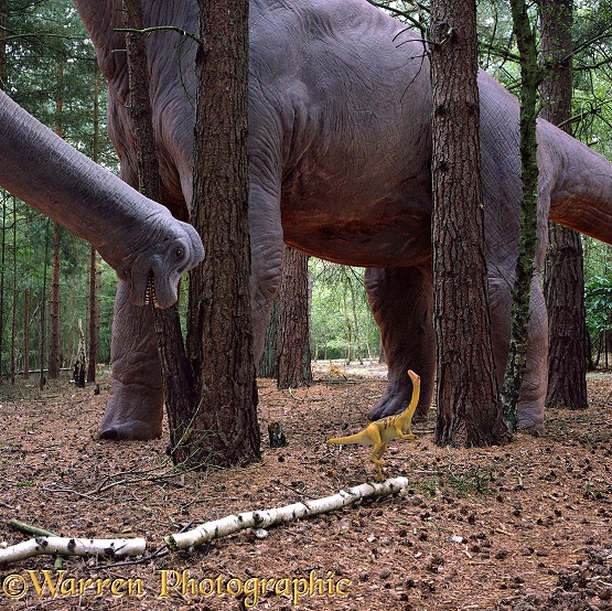 A small predatory Compsognathus beneath a giant herbivorous Brachiosaurus