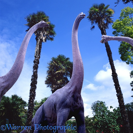 Brachiosaurus and palms 3D R