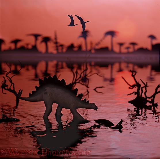 Stegosaur at sunset 3D R