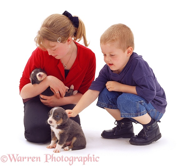 Sade & Joshua choosing a puppy, white background