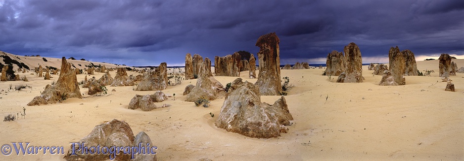 Pinnacles panorama.  Western Australia