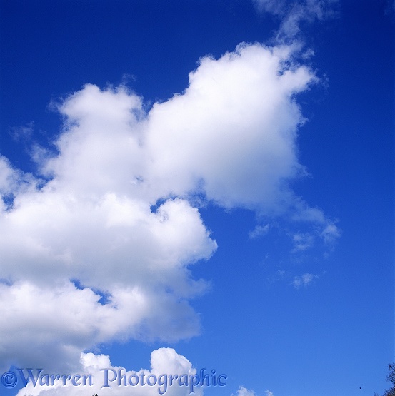 Blue sky with puffy white clouds