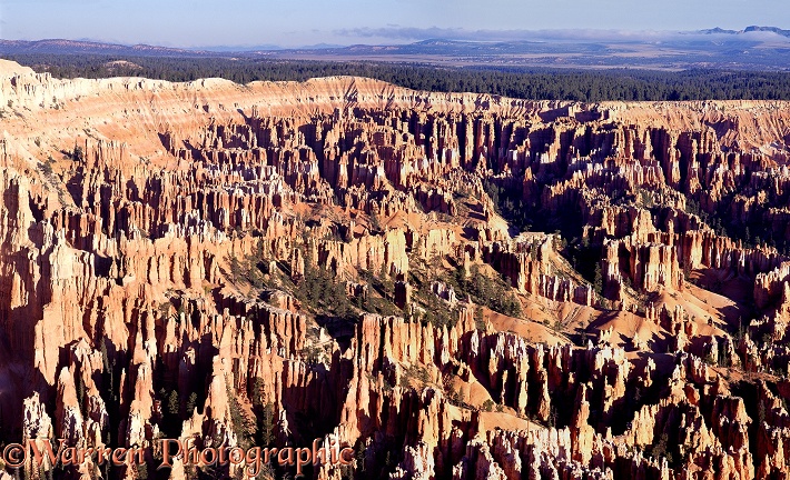 Pinnacles of soft sandstone, known as hoodoos.  Bryce Canyon, USA