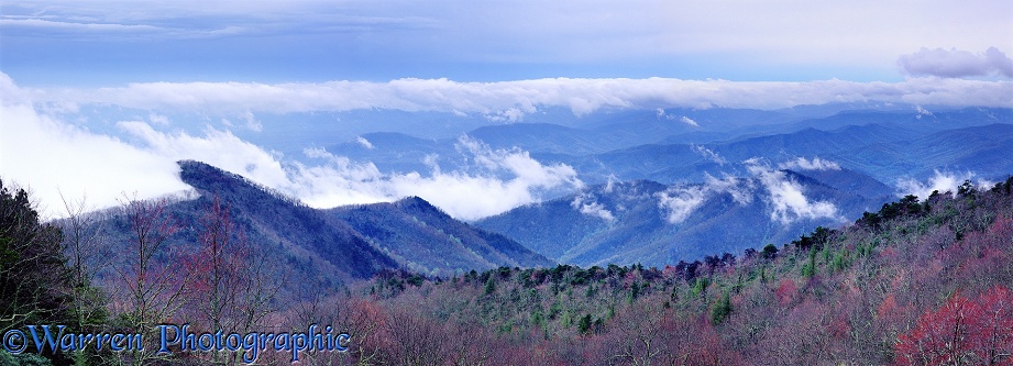 Blue Ridge Mountains panorama.  North Carolina, USA