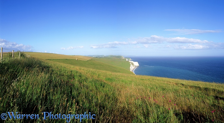 Coastal view.  Dorset, England