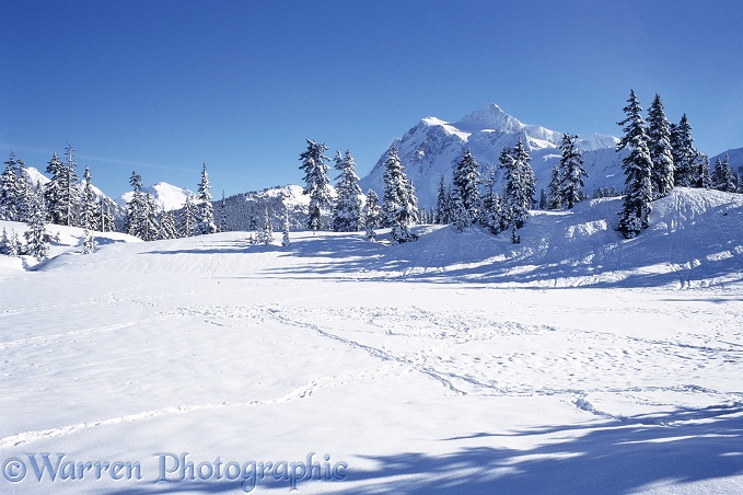 Highwood Lake and Mt. Shuksan - Winter.  Washington State, USA