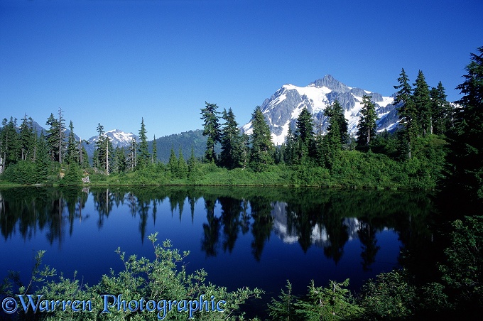 Mt. Shuksan - Summer.  Washington State, USA