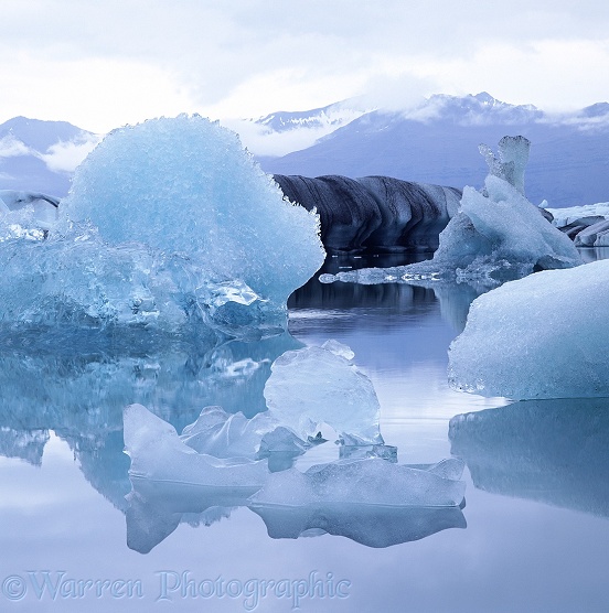 Icebergs.  Iceland