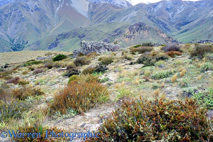 Scenery at Mount Somers.  New Zealand