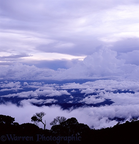 Mt. Kinabalu clouds.  Borneo