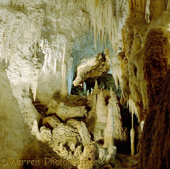Waitomo cave 6 3D R.  New Zealand
