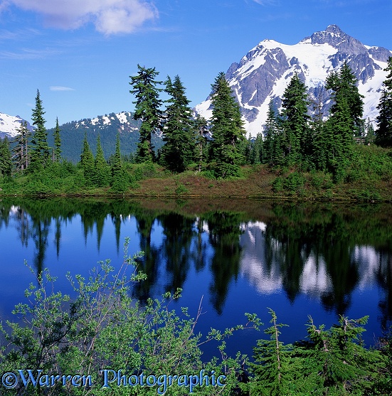 Highwood Lake and Mt. Shuksan - Spring.  Washington State, USA