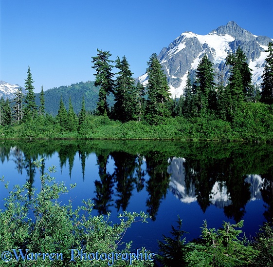 Highwood Lake and Mt. Shuksan - Summer.  Washington State, USA