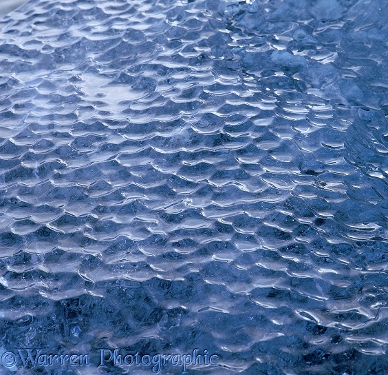 Scalloped surface of an iceberg.  Iceland