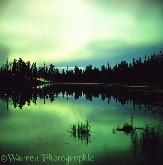 Aurora Borealis with reflection in lake and silhouette conifer trees.  Finland