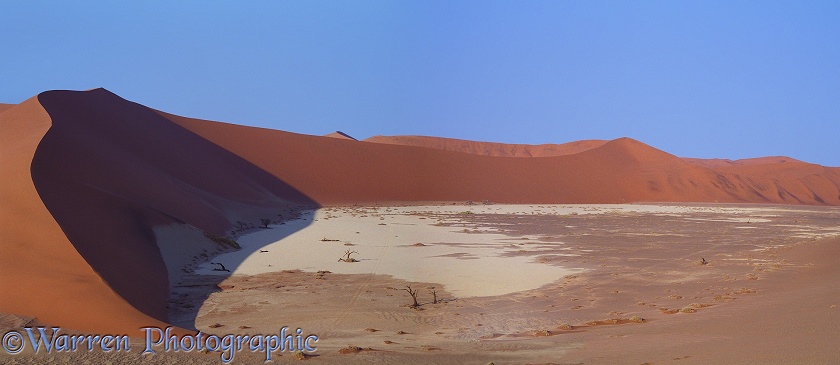 Hidden Vlei.  Namib Desert, Africa
