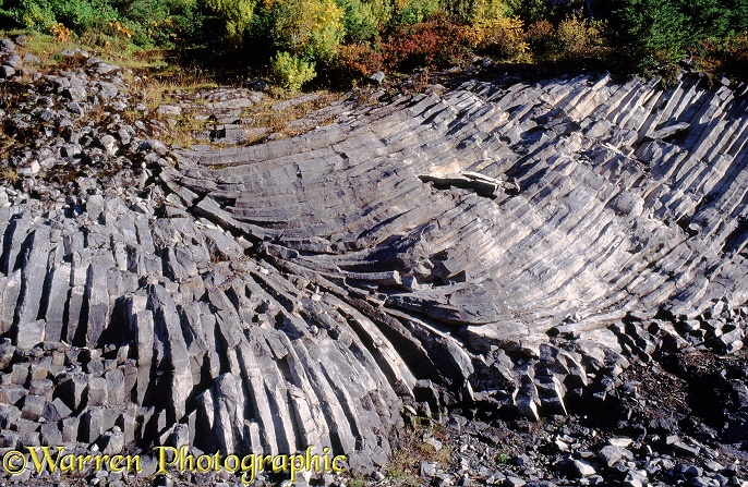 Columnar basalt patterns.  Washington State, USA