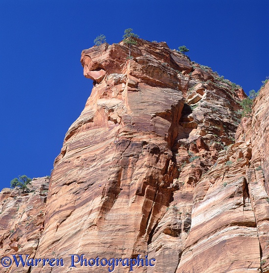 Climbers dwarfed by sandstone cliffs at Zion Canyon.  Utah, USA