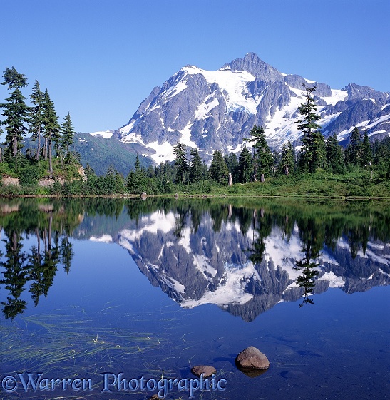 Picture Lake and Mt. Shuksan.  Washington State, USA
