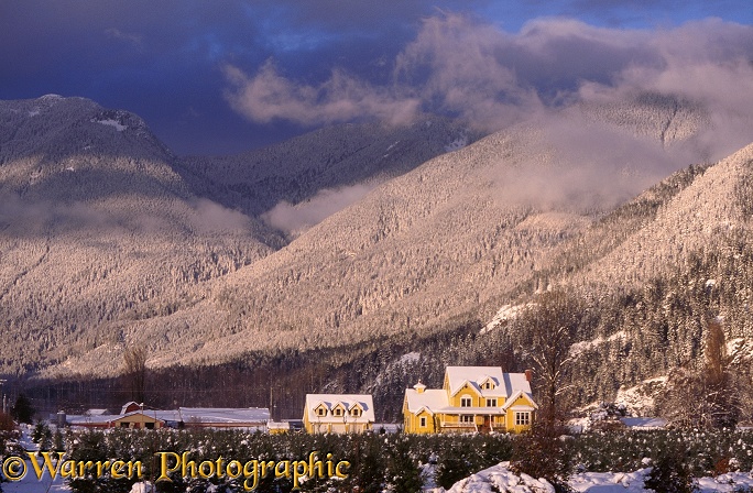 Yellow house in snow scene.  British Columbia, Canada