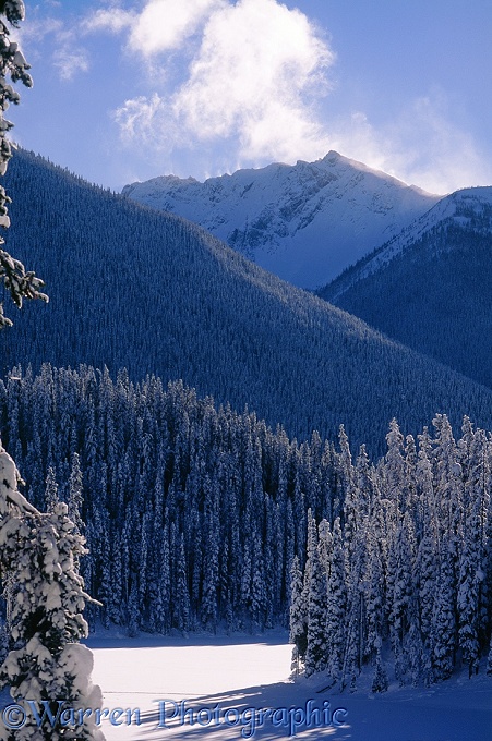 Lightning Lake and mountains, winter.  British Columbia, Canada