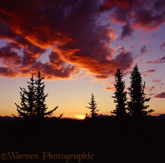 Manning Park sunset.  British Columbia, Canada