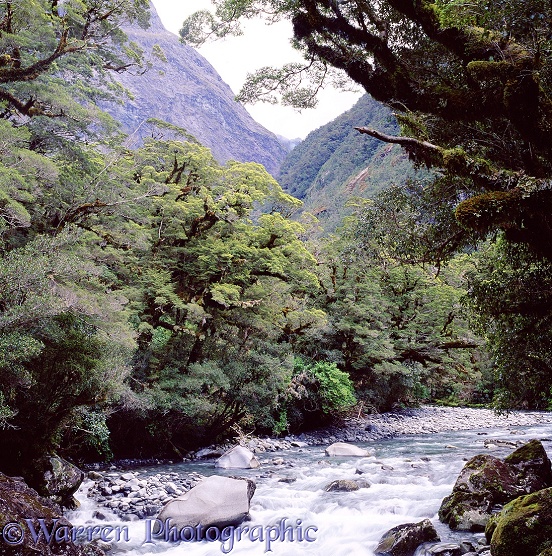 New Zealand river scene 3D R.  New Zealand