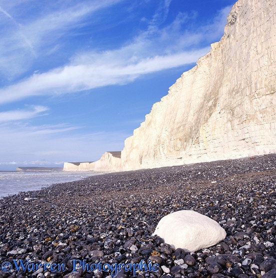 Chalk boulder and cliffs.  Sussex, England