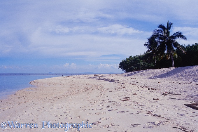 Turtle Island beach.  Borneo