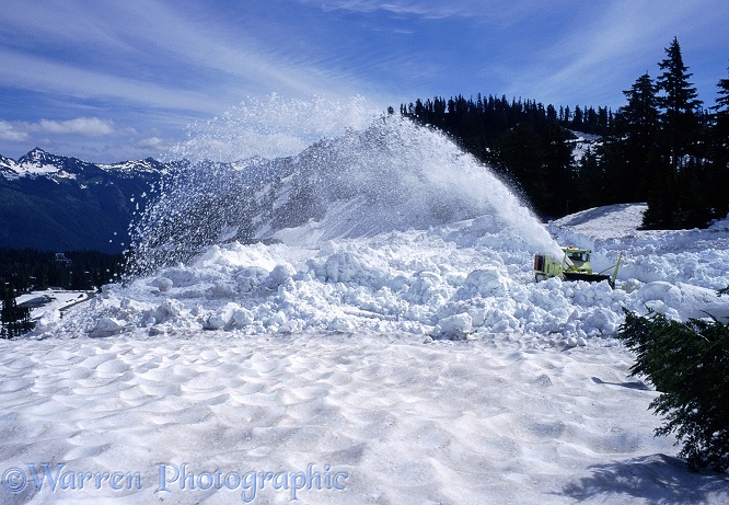 Clearing 15 feet of snow from the road to Mt. Baker Wilderness Area in mid July!
