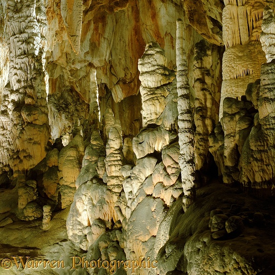 Stalactites and Stalagmites.  Grotte des Grandes Canalettes, France