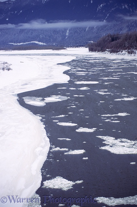 Fraser River with ice