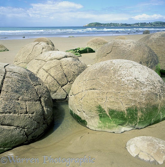 Moeraki Boulders 3D R.  New Zealand