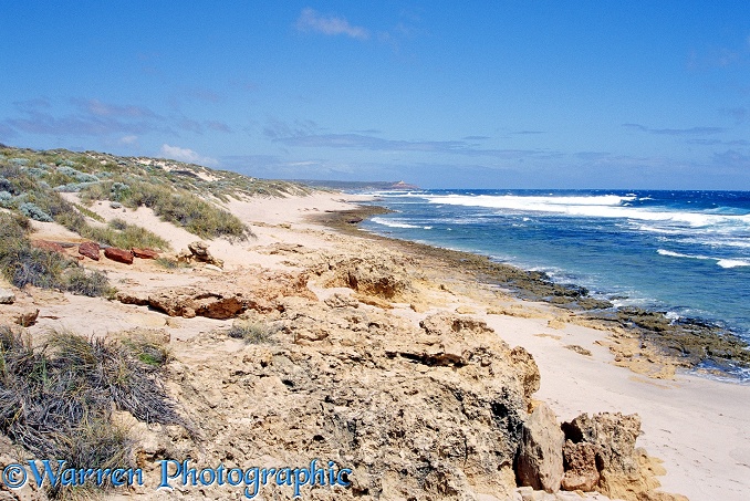Kalbarri Beach.  Western Australia