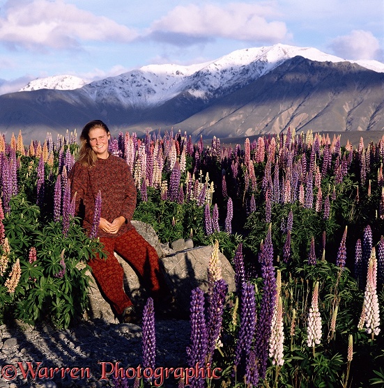Jane & lupines in New Zealand