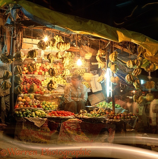 Manali fruit-seller.  India