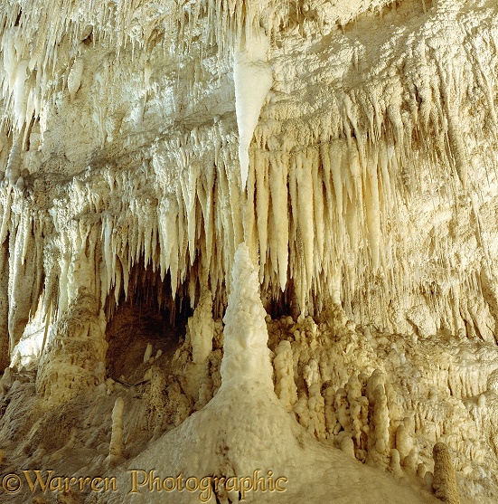 Waitomo cave 4 3D R.  New Zealand