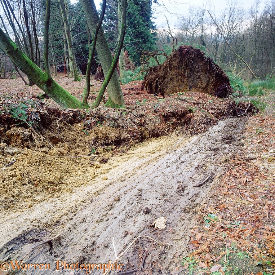 Landslide divide at Leith Hill.  Surrey, England